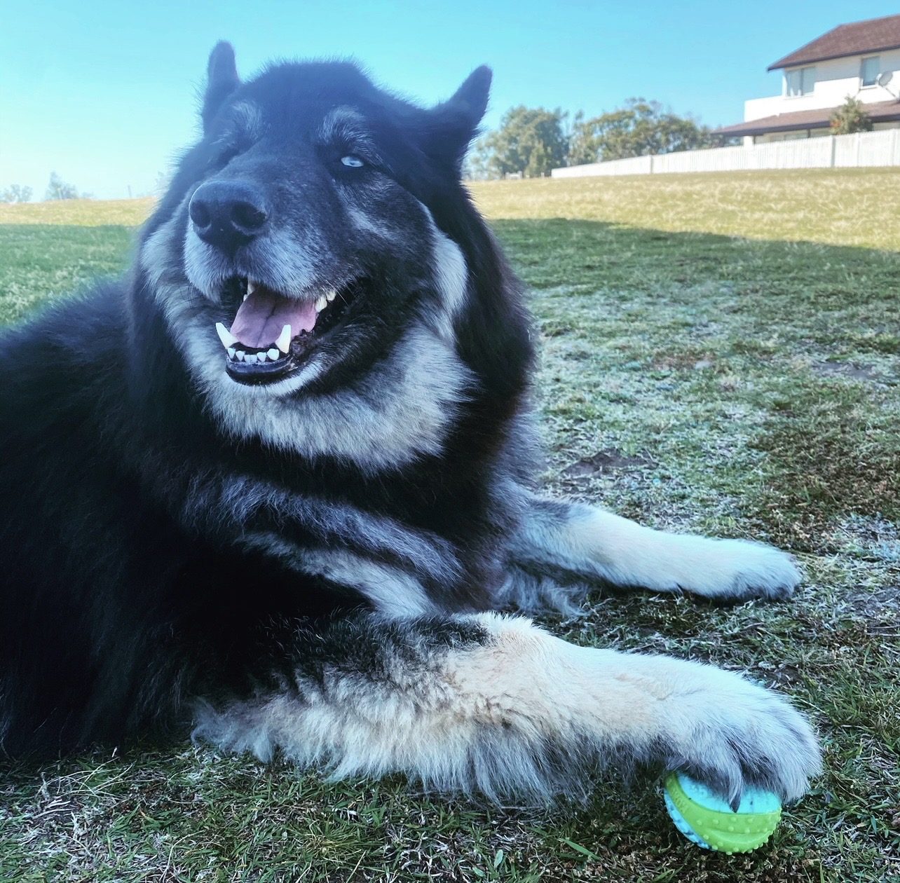 Park time