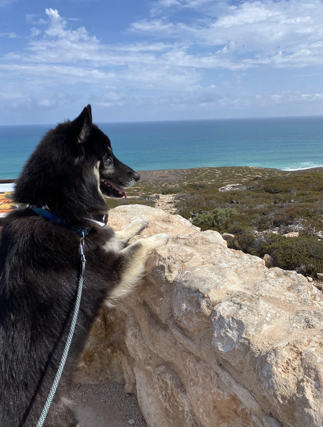 Great Australia Bight