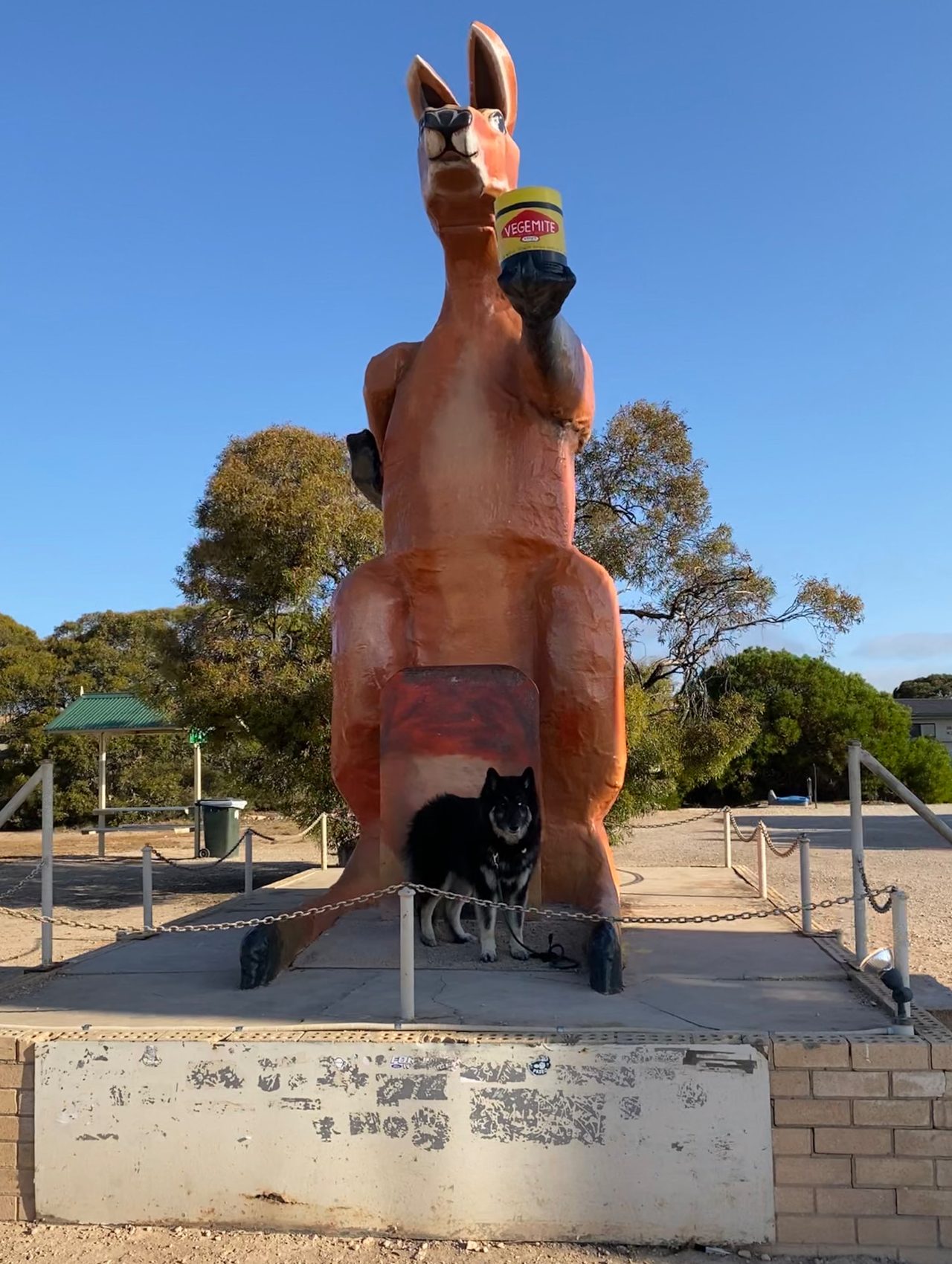 Watson visiting a giant kangaroo roadside attraction on an Australian road trip