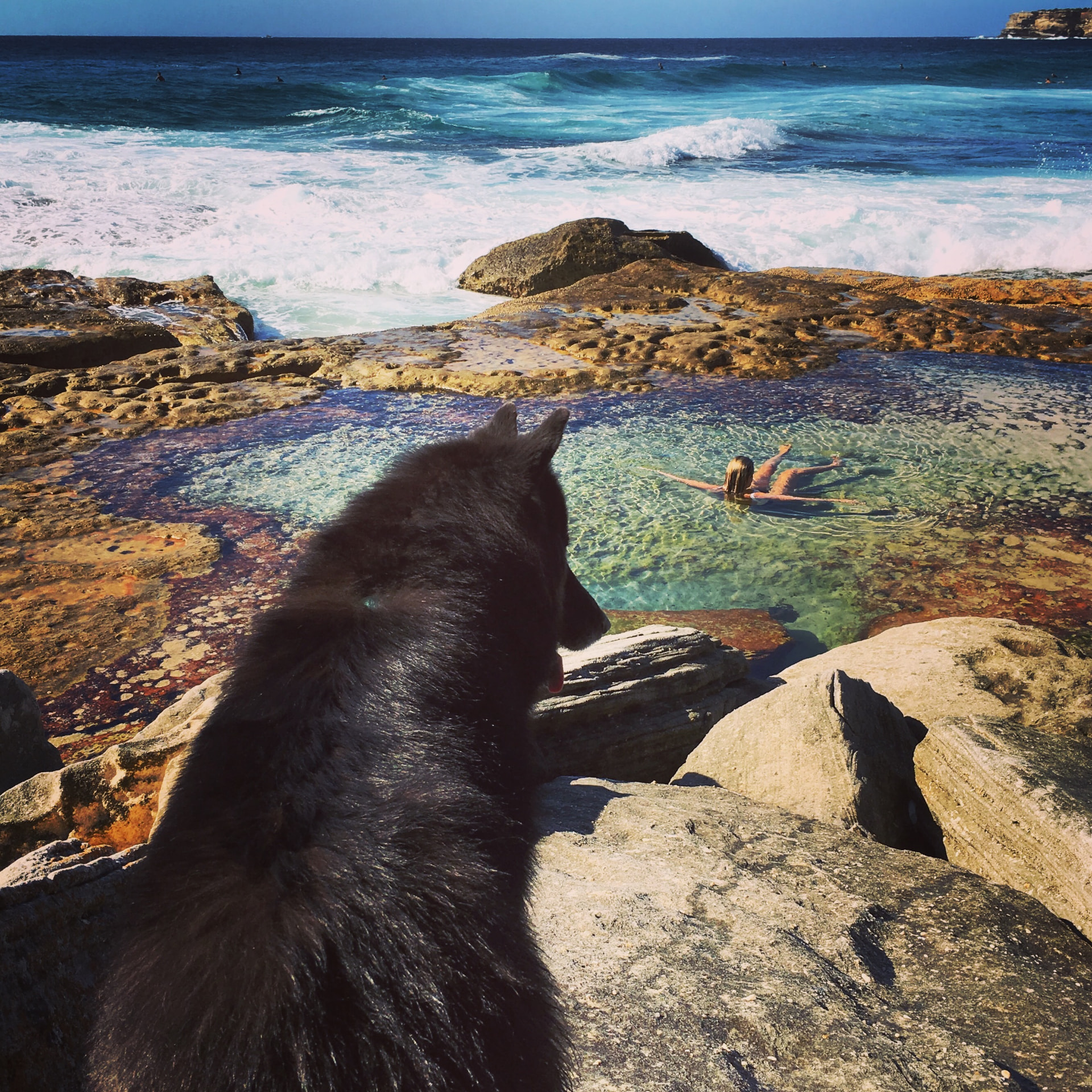 Watson sitting on coastal rocks watching a swimmer in a clear ocean rock pool