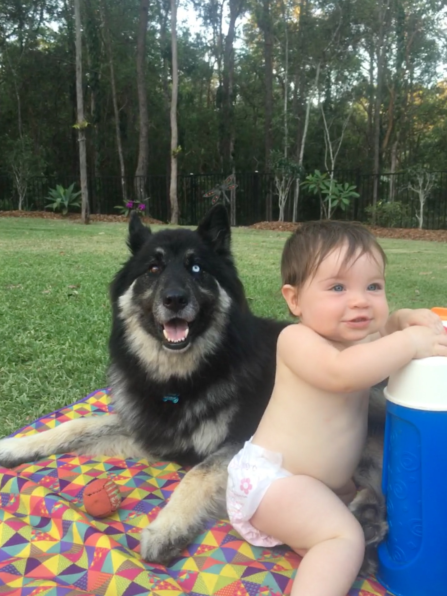 Watson and a child enjoying a picnic together on a colourful blanket in the garden