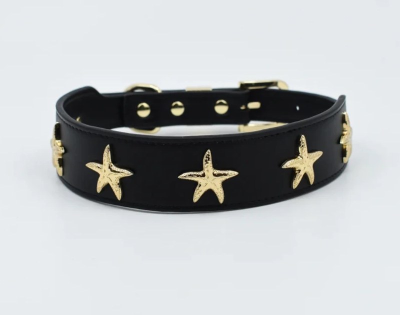 Coastal Cubs Starfish dog collar in black and gold